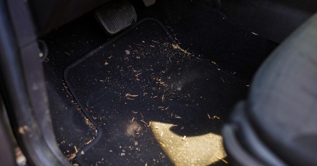 how do you get the smell out of car floorboards